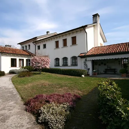 Piera Belluno